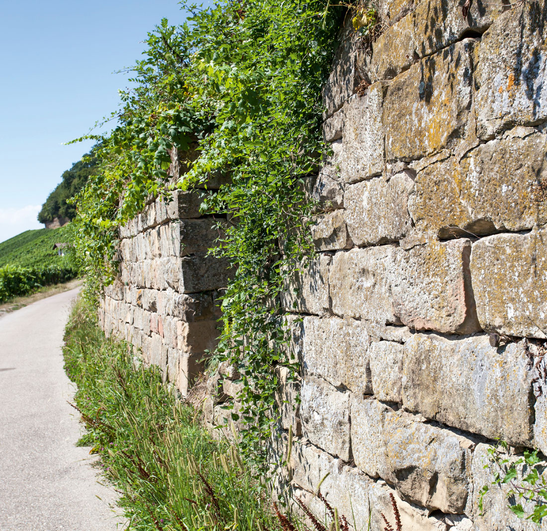 Trockensteinmauer am Wartberg